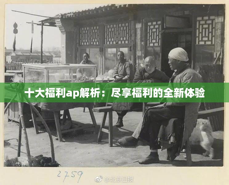 十大福利ap解析：尽享福利的全新体验