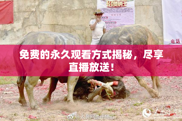 免费的永久观看方式揭秘，尽享直播放送！