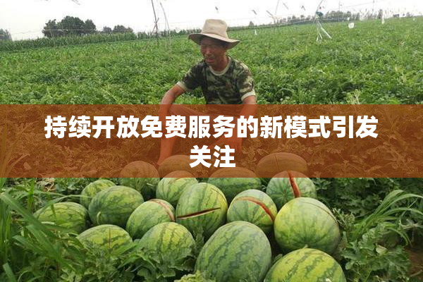 持续开放免费服务的新模式引发关注