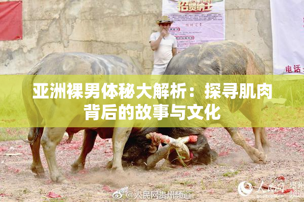 亚洲裸男体秘大解析：探寻肌肉背后的故事与文化