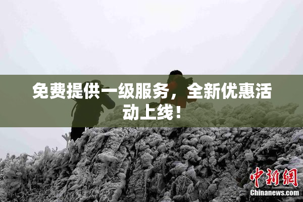 免费提供一级服务，全新优惠活动上线！
