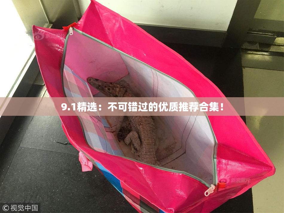 9.1精选：不可错过的优质推荐合集！