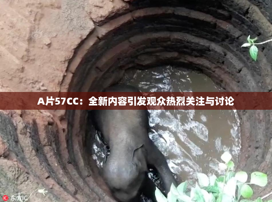 A片57CC：全新内容引发观众热烈关注与讨论