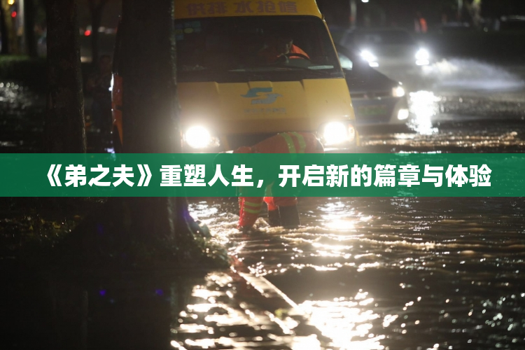 《弟之夫》重塑人生，开启新的篇章与体验