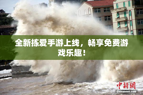 全新拣爱手游上线，畅享免费游戏乐趣！