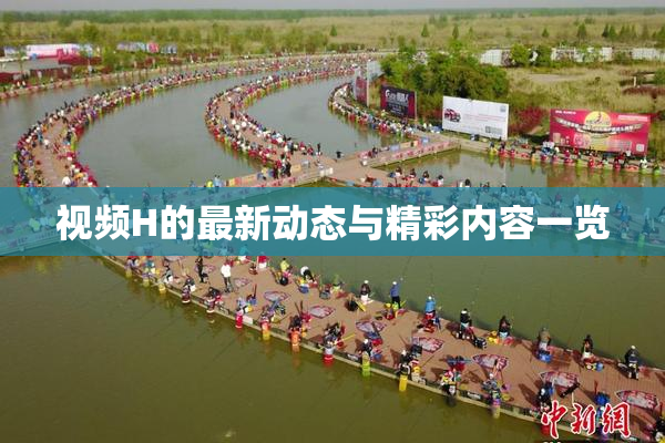 视频H的最新动态与精彩内容一览