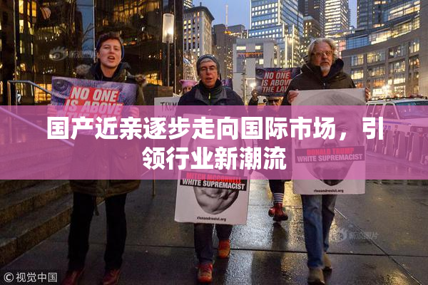 国产近亲逐步走向国际市场，引领行业新潮流
