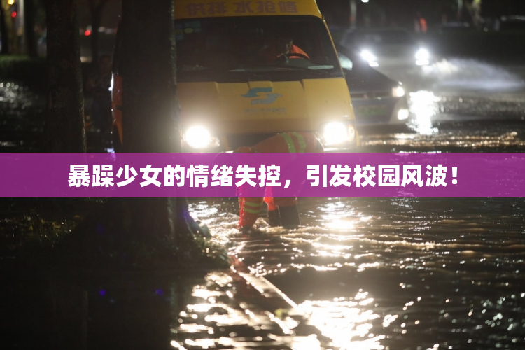 暴躁少女的情绪失控，引发校园风波！
