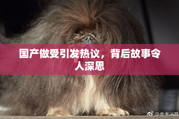 国产做受引发热议，背后故事令人深思