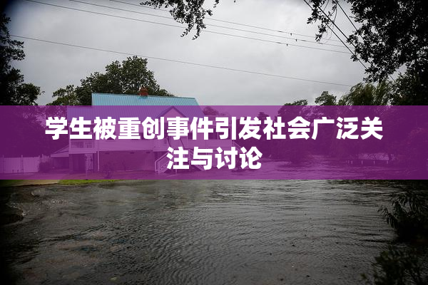 学生被重创事件引发社会广泛关注与讨论