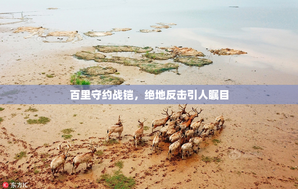 百里守约战铠，绝地反击引人瞩目