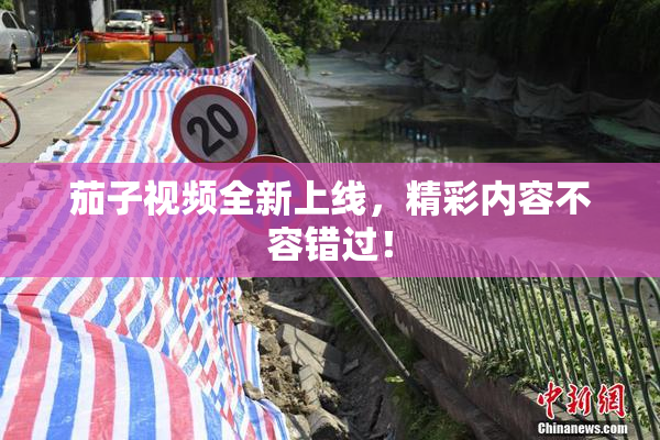 茄子视频全新上线，精彩内容不容错过！