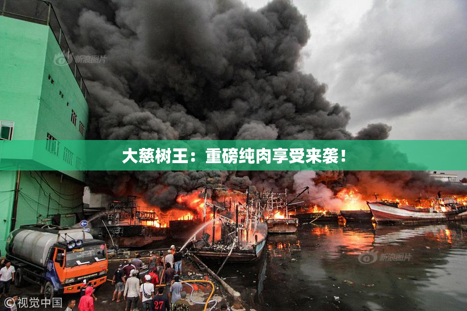 大慈树王：重磅纯肉享受来袭！
