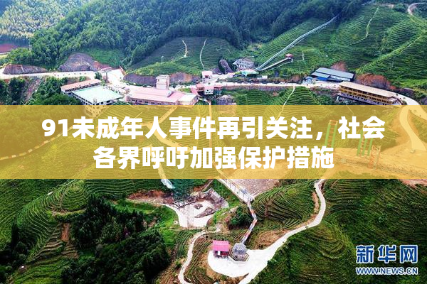 91未成年人事件再引关注，社会各界呼吁加强保护措施