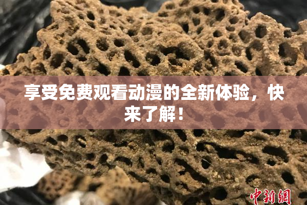 享受免费观看动漫的全新体验，快来了解！