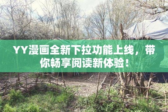 YY漫画全新下拉功能上线，带你畅享阅读新体验！