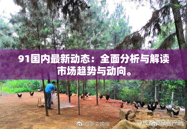 91国内最新动态：全面分析与解读市场趋势与动向。