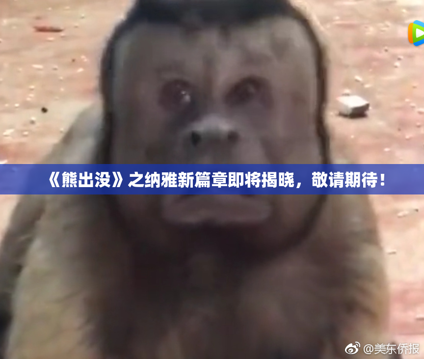 《熊出没》之纳雅新篇章即将揭晓，敬请期待！