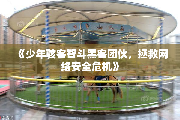《少年骇客智斗黑客团伙，拯救网络安全危机》
