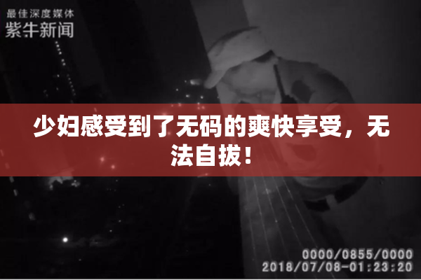 少妇感受到了无码的爽快享受，无法自拔！