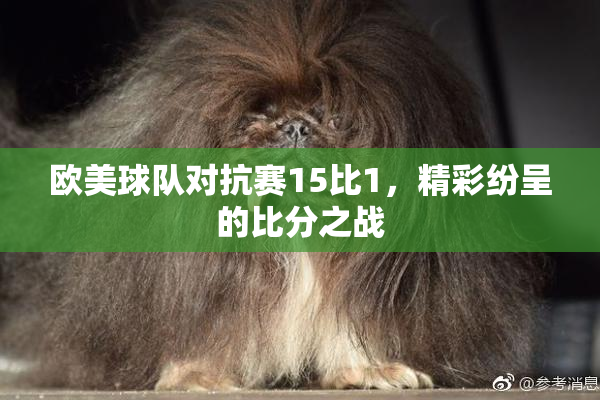 欧美球队对抗赛15比1，精彩纷呈的比分之战