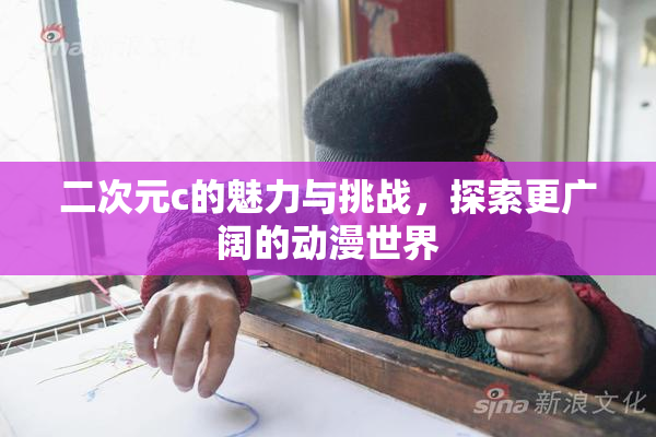 二次元c的魅力与挑战，探索更广阔的动漫世界