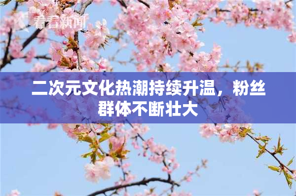 二次元文化热潮持续升温，粉丝群体不断壮大
