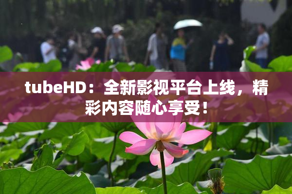 tubeHD：全新影视平台上线，精彩内容随心享受！