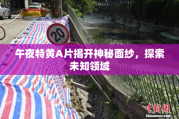 午夜特黄A片揭开神秘面纱，探索未知领域