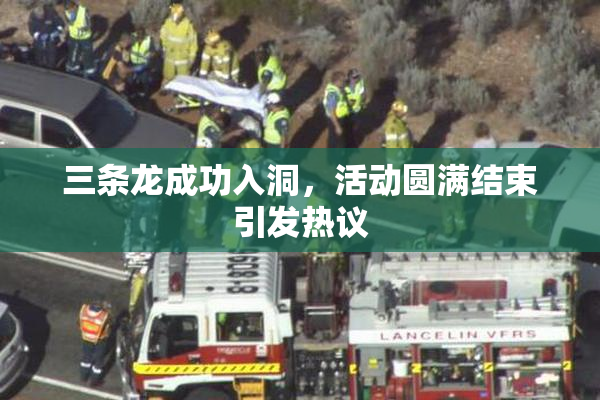 三条龙成功入洞，活动圆满结束引发热议