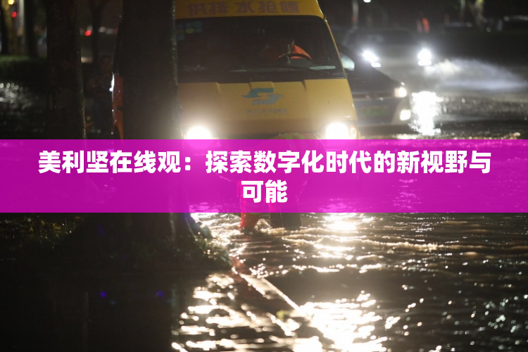 美利坚在线观：探索数字化时代的新视野与可能