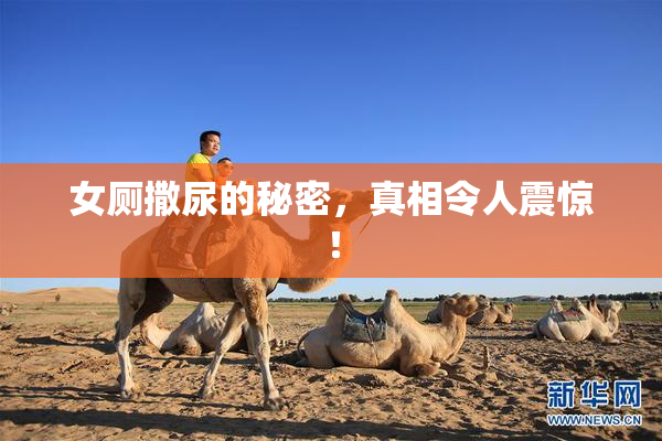 女厕撒尿的秘密，真相令人震惊！