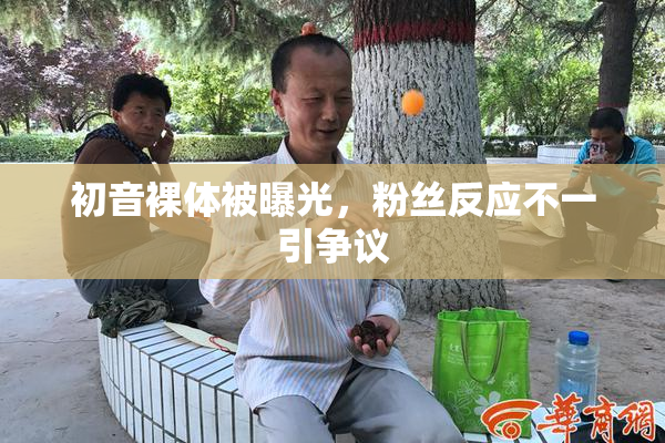 初音裸体被曝光，粉丝反应不一引争议