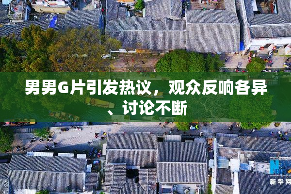 男男G片引发热议，观众反响各异、讨论不断