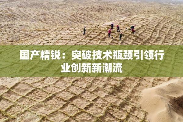 国产精锐：突破技术瓶颈引领行业创新新潮流