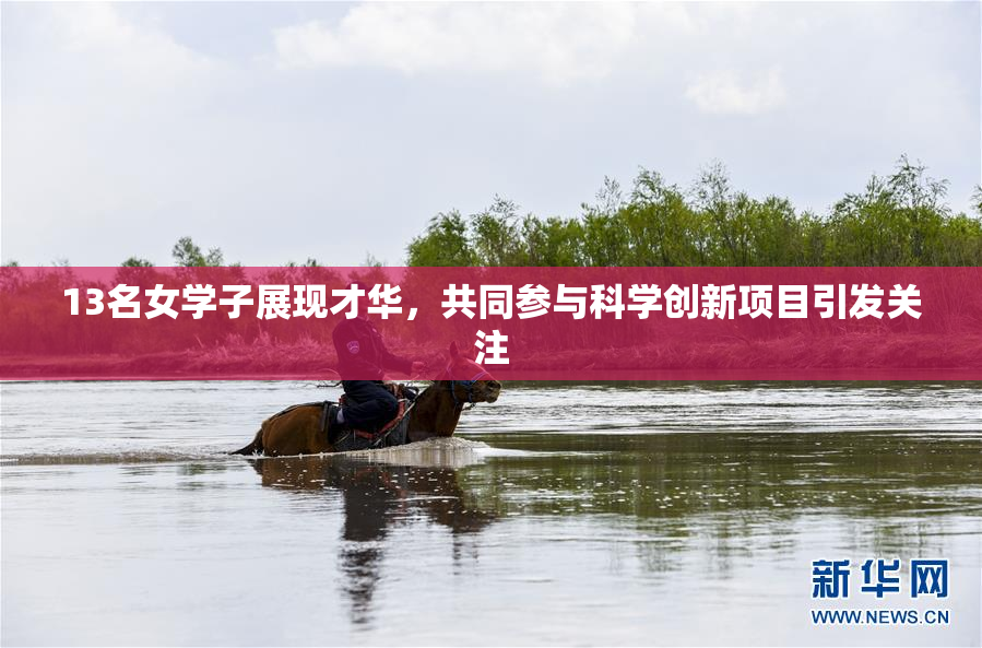 13名女学子展现才华，共同参与科学创新项目引发关注