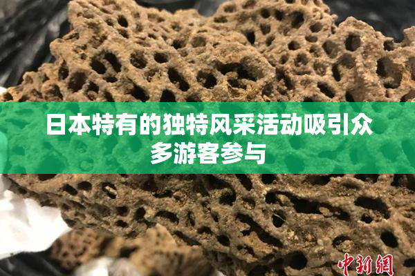 日本特有的独特风采活动吸引众多游客参与