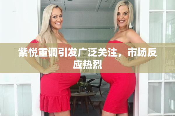 紫悦重调引发广泛关注，市场反应热烈