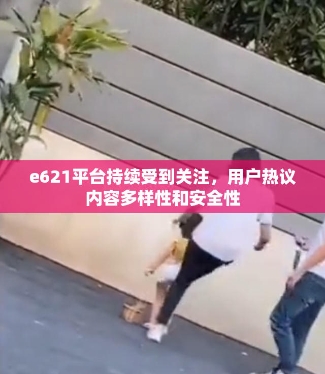 e621平台持续受到关注，用户热议内容多样性和安全性