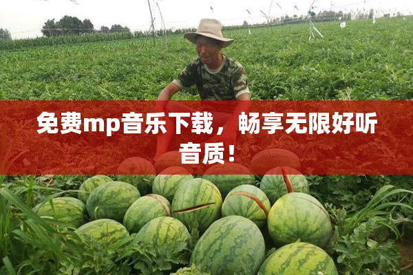 免费mp音乐下载，畅享无限好听音质！
