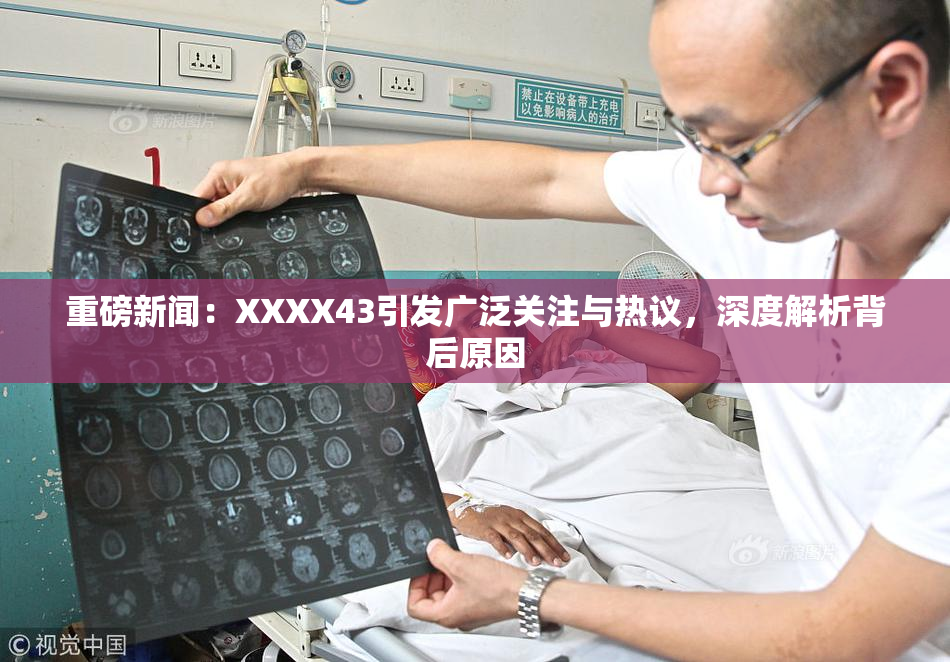 重磅新闻：XXXX43引发广泛关注与热议，深度解析背后原因
