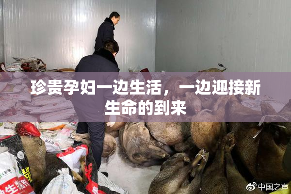 珍贵孕妇一边生活，一边迎接新生命的到来