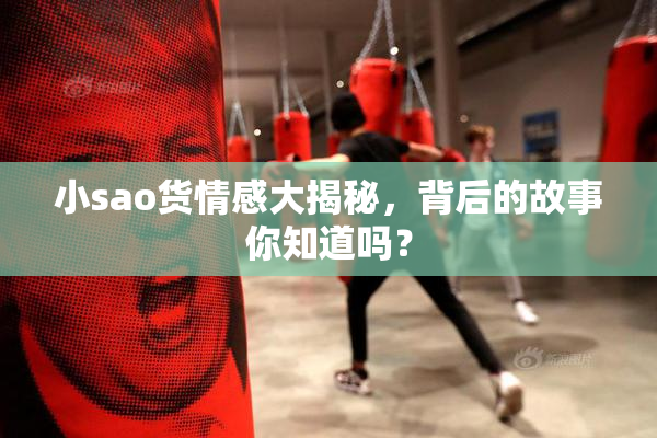 小sao货情感大揭秘，背后的故事你知道吗？