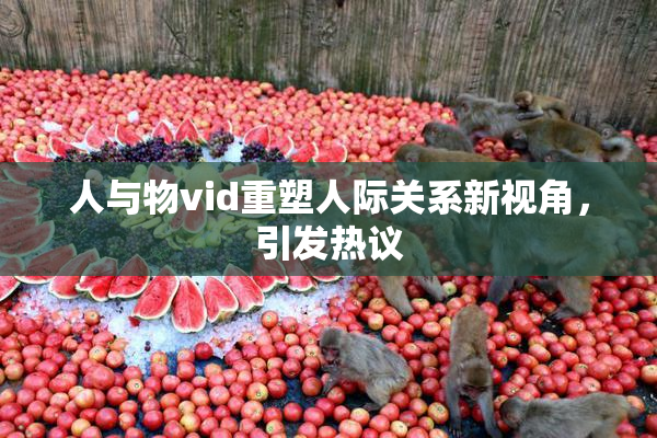 人与物vid重塑人际关系新视角，引发热议