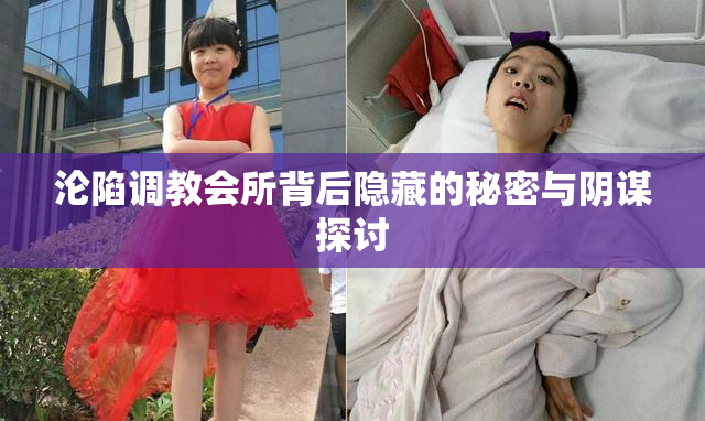 沦陷调教会所背后隐藏的秘密与阴谋探讨