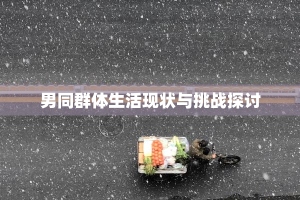 男同群体生活现状与挑战探讨
