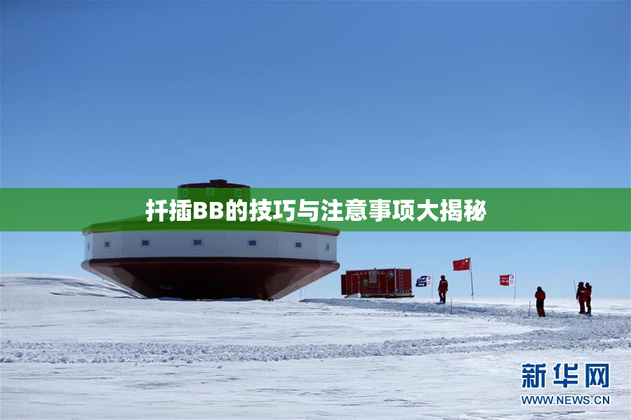 扦插BB的技巧与注意事项大揭秘