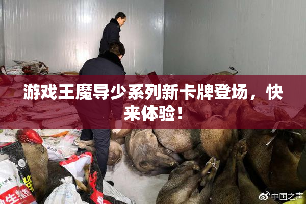 游戏王魔导少系列新卡牌登场，快来体验！