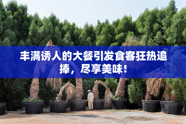 丰满诱人的大餐引发食客狂热追捧，尽享美味！