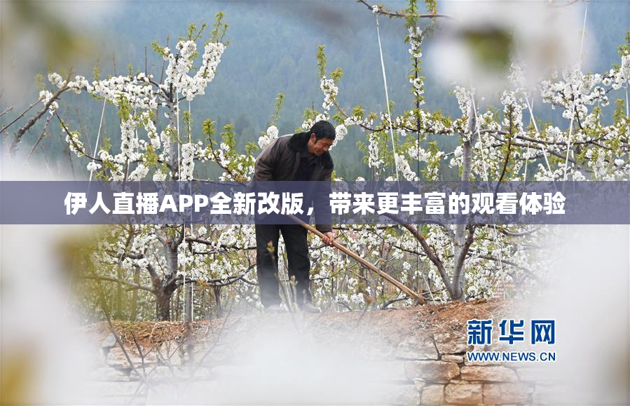 伊人直播APP全新改版，带来更丰富的观看体验